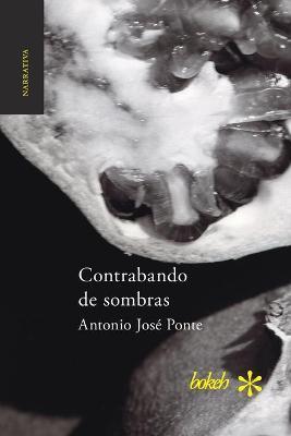 Contrabando de sombras - Antonio José Ponte