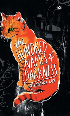 The Hundred Names of Darkness - Nilanjana Roy