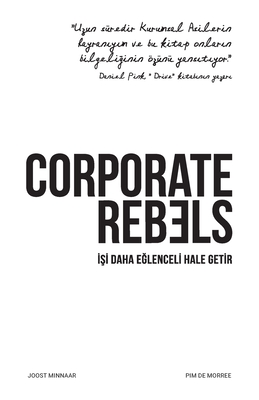 Corporate Rebels: İşi daha eğlenceli hale getir - Joost Minnaar