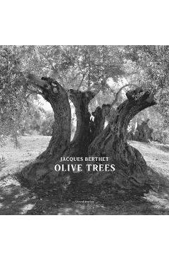 Coperta cărții 'Jacques Berthet: Olive Trees - Jacques Berthet'