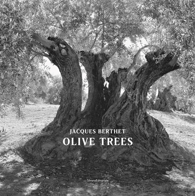 Jacques Berthet: Olive Trees - Jacques Berthet
