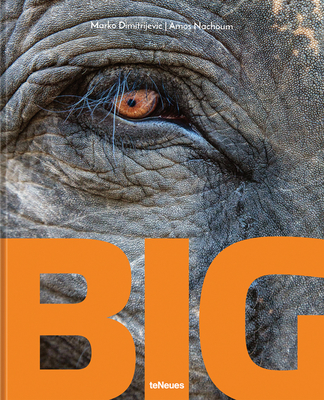 Big: A Photographic Album of the World's Largest Animals - Amos Nachoum