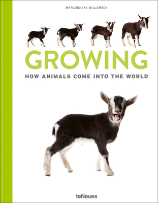 Growing: How Animals Come Into Our World - Marlonneke Willemsen