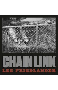 Poza produsului Lee Friedlander: Chain Link - Lee Friedlander