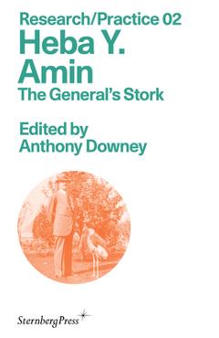 Coperta cărții 'Heba Y. Amin: The General's Stork - Anthony Downey'