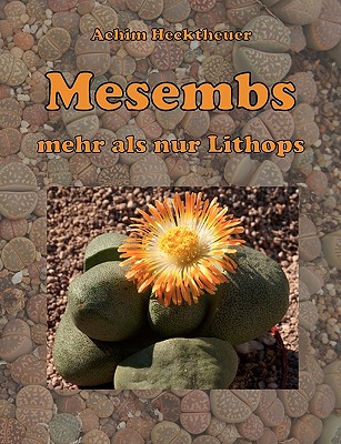 Mesembs - mehr als nur Lithops - Achim Hecktheuer