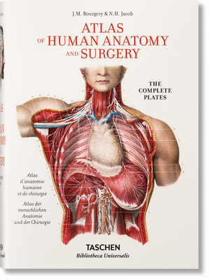 Bourgery. Atlas de Anatoma Humana Y Ciruga - Jean-marie Le Minor