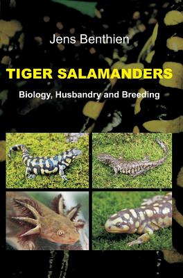 Tiger Salamanders - Jens Benthien