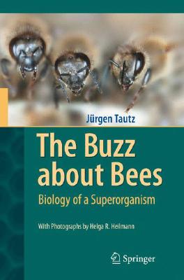 The Buzz about Bees: Biology of a Superorganism - Jrgen Tautz