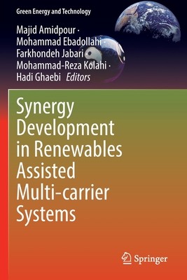 Synergy Development in Renewables Assisted Multi-Carrier Systems - Majid Amidpour