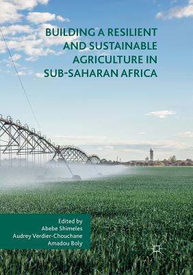Building a Resilient and Sustainable Agriculture in Sub-Saharan Africa - Abebe Shimeles