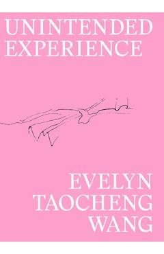 Coperta cărții 'Evelyn Taocheng Wang: Unintended Experience: A Job in Amsterdam - Evelyn Taocheng Wang'