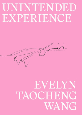 Evelyn Taocheng Wang: Unintended Experience: A Job in Amsterdam - Evelyn Taocheng Wang