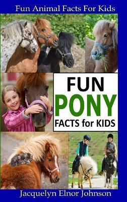 Fun Pony Facts for Kids - Jacquelyn Elnor Johnson