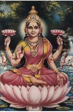 Coperta cărții 'Devi: 150-page Diary With Hindu Goddess Lakshmi on the Cover and a Sri Yantra on the Back for Meditation /'