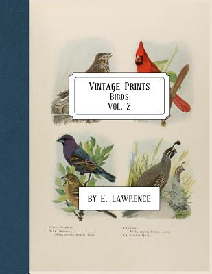 Vintage Prints: Birds: Vol. 2 - E. Lawrence