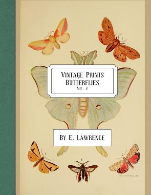 Vintage Prints: Butterflies: Vol. 2 - E. Lawrence