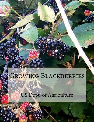 Growing Blackberries - Roger Chambers