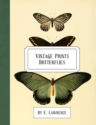 Vintage Prints: Butterflies - E. Lawrence