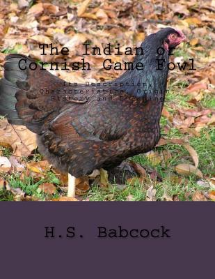 The Indian or Cornish Game Fowl: Its Description, Characteristics, Origin, History and Breeding - Jackson Chambers