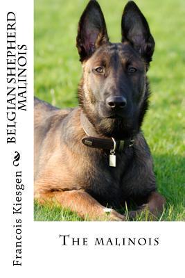 belgian shepherd malinois - Francois Kiesgen