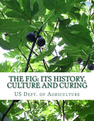 The Fig: Its History, Culture and Curing: With Descriptions of the Known Varieties of Figs - Roger Chambers