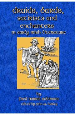 Coperta cărții 'Druids Bards Satirists And Enchanters: In Early Irish Literature - John W. Hurley'