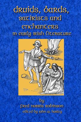 Coperta cărții 'Druids Bards Satirists And Enchanters: In Early Irish Literature - John W. Hurley'