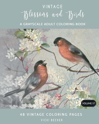 Vintage Blossoms and Birds: A Grayscale Adult Coloring Book - Vicki Becker