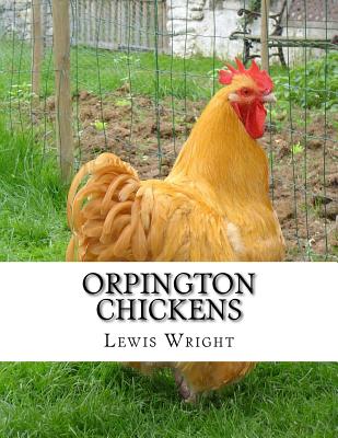 Orpington Chickens: From The Book of Poultry - Jackson Chambers