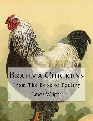 Brahma Chickens: From The Book of Poultry - Jackson Chambers