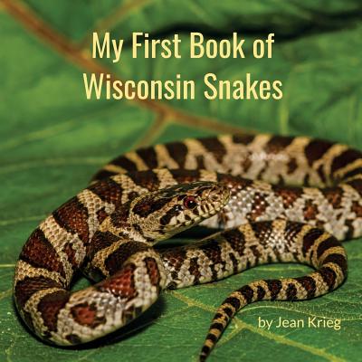 My First Book of Wisconsin Snakes - Jean Krieg