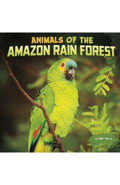Poza produsului Animals of the Amazon Rain Forest - Mari Schuh