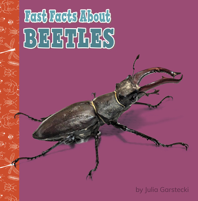 Fast Facts about Beetles - Julia Garstecki-derkovitz