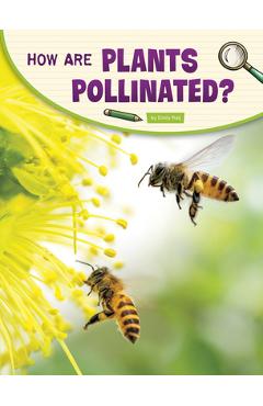 Coperta cărții 'How Are Plants Pollinated? - Emily Raij'