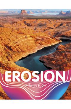 Coperta cărții 'Erosion - Tamra B. Orr'