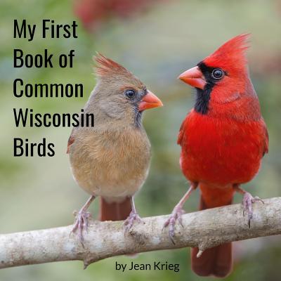 My First Book of Common Wisconsin Birds - Jean Krieg