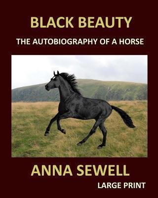 BLACK BEAUTY ANNA SEWELL Large Print: The autobiography of a horse - Anna Sewell