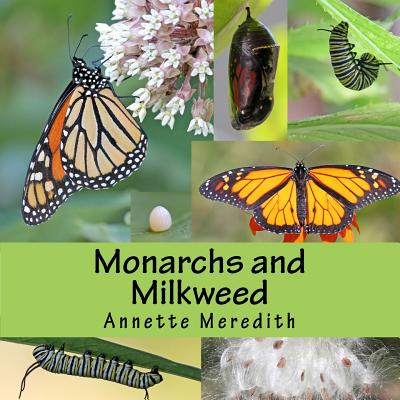 Monarchs and Milkweed - Annette Meredith