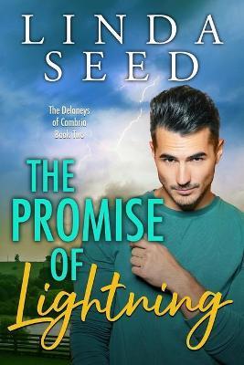 The Promise of Lightning - Linda Seed