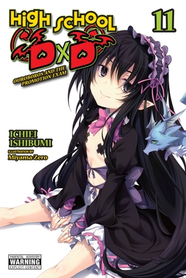 High School DXD, Vol. 11 (Light Novel) - Ichiei Ishibumi