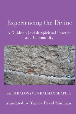 Experiencing the Divine - Yaacov David Shulman