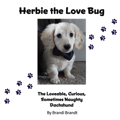 Herbie the Love Bug - Brandi Brandt