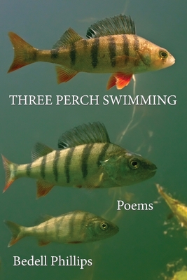 Three Perch Swimming - Bedell Phillips