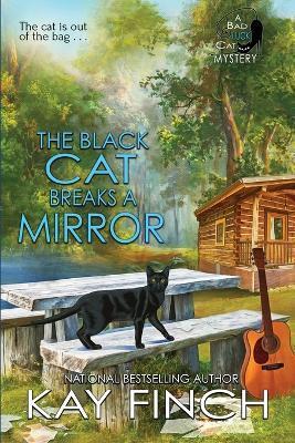 The Black Cat Breaks a Mirror - Kay Finch