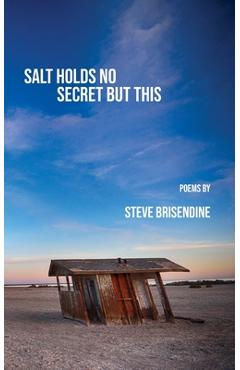 Coperta cărții 'Salt Holds No Secrets But This - Steve Brisendine'