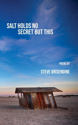 Coperta cărții 'Salt Holds No Secrets But This - Steve Brisendine'
