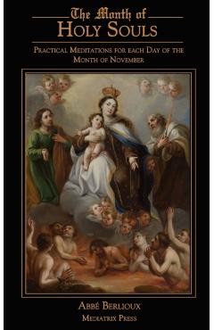 The Month of Holy Souls: Practical Meditations for Every Day of the Month of November - Abbe Berlioux