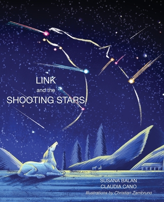 Link and the Shooting Stars - Susana Balan