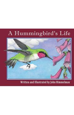 Coperta cărții 'A Hummingbird's Life - John Himmelman'